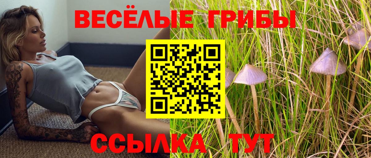 Галлюциногенные грибы MAGIC MUSHROOMS Карпинск