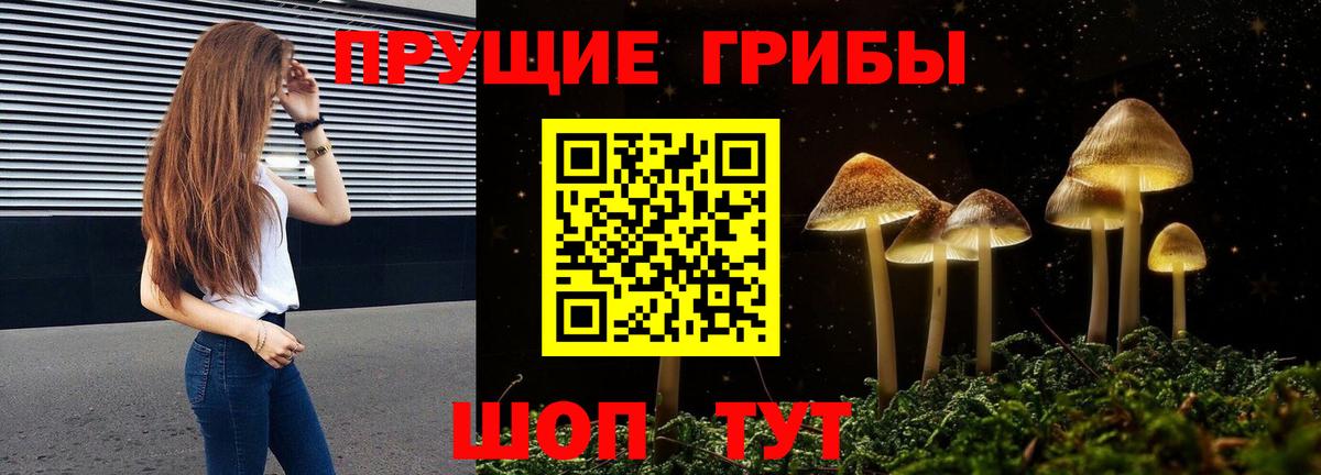 Псилоцибиновые грибы ЛСД  Вход с VPN  Псилоцибиновые грибы прущие грибы  Карпинск 